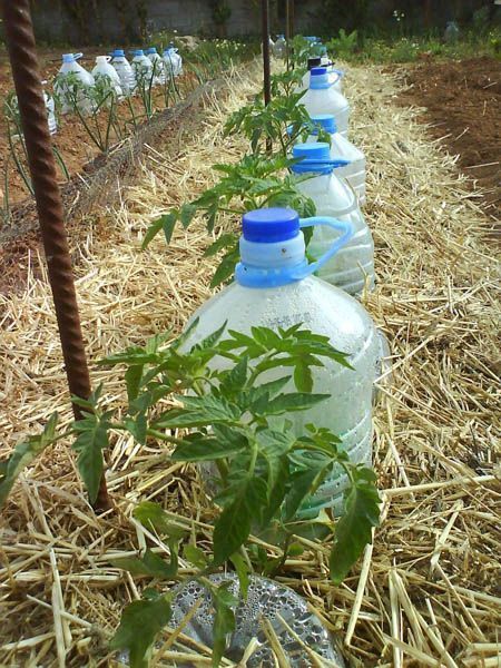 Technique installation irrigation solaire avec bouteilles plastiques