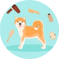 Illustration petit chien et outils de toilettage