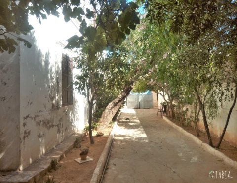 Jardin latéral maison Safi Marrakech en vente , villa propritée . particulier à particulier